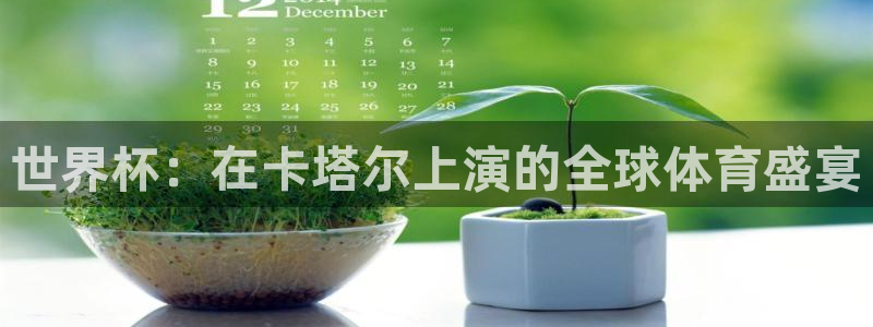 世界杯直播时间：世界杯：在卡塔尔上演的全球体育盛宴