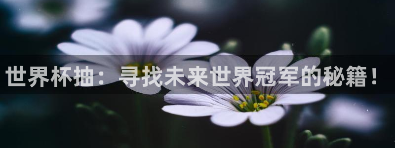 世界杯足球赛2026赛程时间：世界杯抽：寻找未来世界冠军的秘籍！