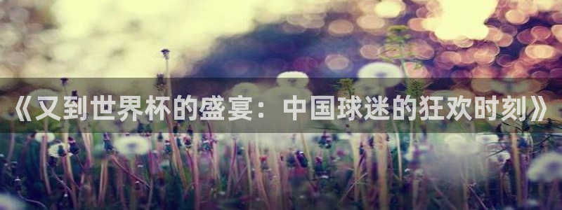 世界杯欧洲区世预赛赛程：《又到世界杯的盛宴：中国球迷的狂欢时刻》