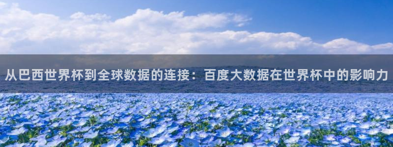 世界杯预选赛2026：从巴西世界杯到全球数据的连接：百度大数据在世界杯中的影响力