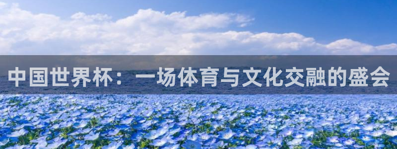 足球世界杯时间：中国世界杯：一场体育与文化交融的盛会