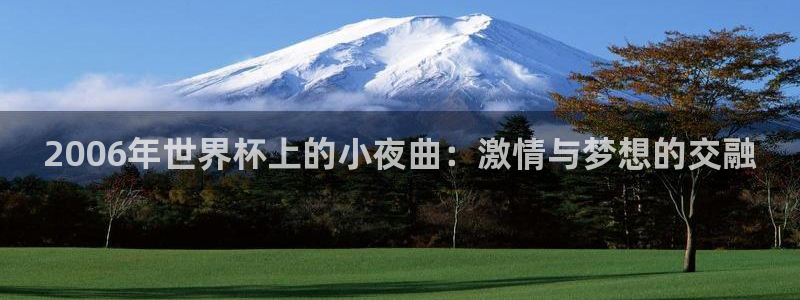 美国世界杯：2006年世界杯上的小夜曲：激情与梦想的交融