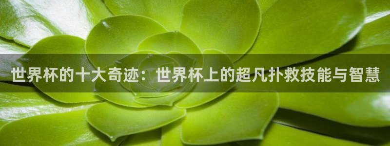 今年世界杯：世界杯的十大奇迹：世界杯上的超凡扑救技能与智慧