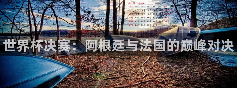 世界杯 中国：世界杯决赛：阿根廷与法国的巅峰对决