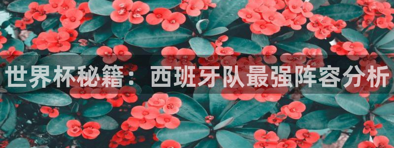 世界杯直播观看：世界杯秘籍：西班牙队最强阵容分析