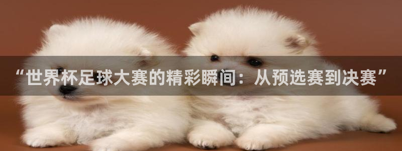 2026世界杯直播：“世界杯足球大赛的精彩瞬间：从预选赛到决赛”