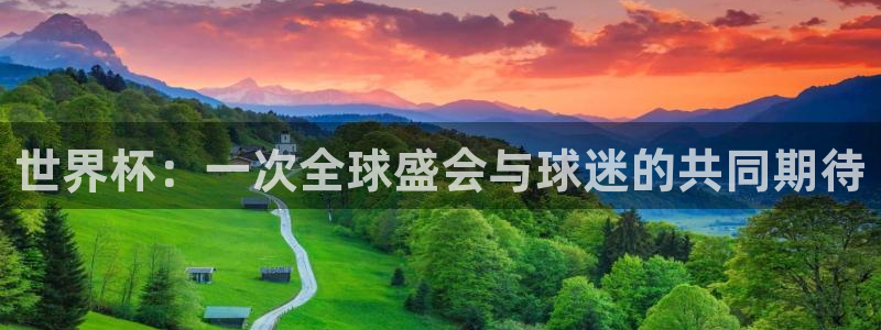 2026世界杯买球：世界杯：一次全球盛会与球迷的共同期待