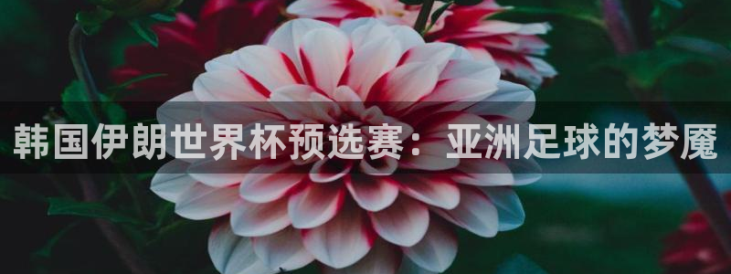 欧洲世预赛赛程表：韩国伊朗世界杯预选赛：亚洲足球的梦魇