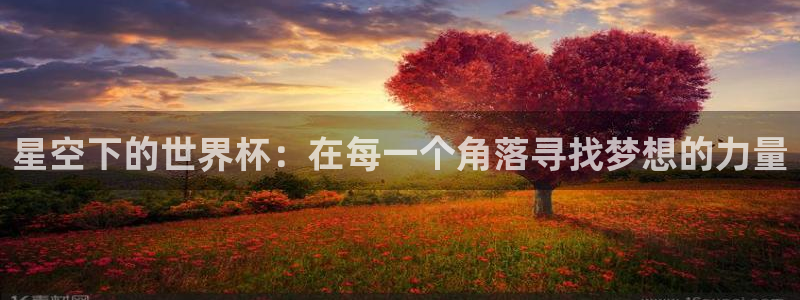 2026男足世界杯：星空下的世界杯：在每一个角落寻找梦想的力量