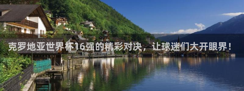 2006年世界杯冠军：克罗地亚世界杯16强的精彩对决，让球迷们大开眼界！