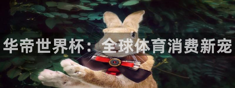 足球世界杯2026年赛程时间表：华帝世界杯：全球体育消费新宠