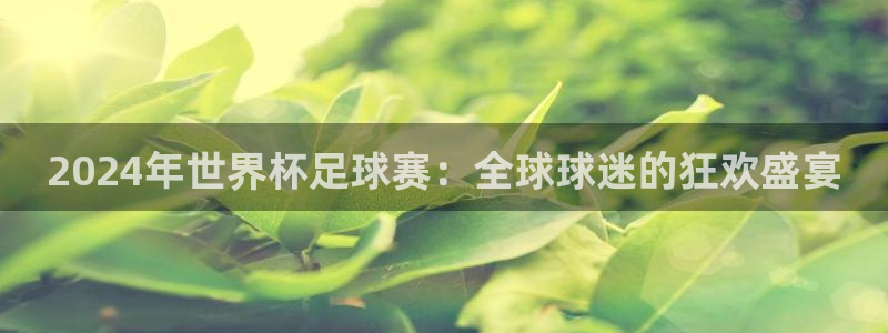 2026世界杯32强对阵图表：2024年世界杯足球赛：全球球迷的狂欢盛宴