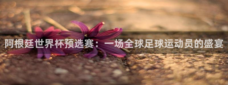 女足世界杯直播：阿根廷世界杯预选赛：一场全球足球运动员的盛宴
