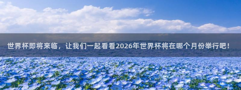 2026世界杯直播免费观看：世界杯即将来临，让我们一起看看2026年世界杯将在哪个月份举行吧！