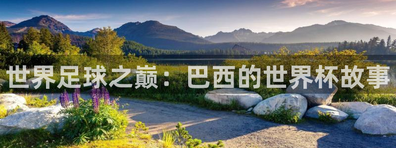 2026年世界杯：世界足球之巅：巴西的世界杯故事