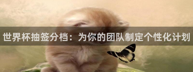 世界杯直播网站：世界杯抽签分档：为你的团队制定个性化计划
