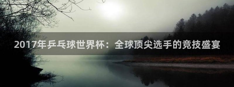 足球比分直播世界杯：2017年乒乓球世界杯：全球顶尖选手的竞技盛宴